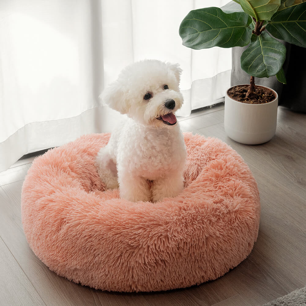 Lit Rond Douillet pour Chien - Repos Optimal