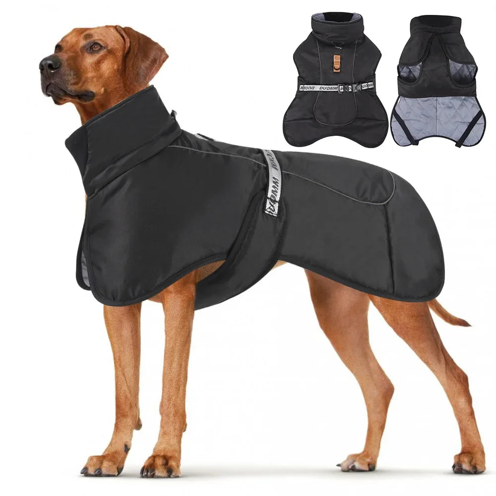 Imperméable pour Chien avec Col Montant - Protection Premium