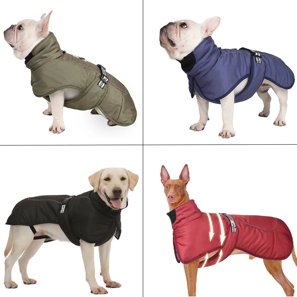 Imperméable pour Chien avec Col Montant - Protection Premium